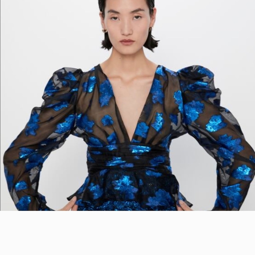 Zara Black Sheer Dress with Blue Floral Accents